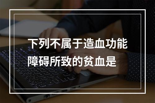 下列不属于造血功能障碍所致的贫血是