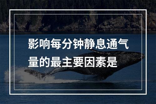 影响每分钟静息通气量的最主要因素是