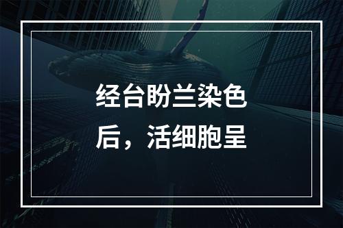 经台盼兰染色后，活细胞呈