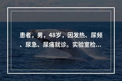 患者，男，48岁，因发热、尿频、尿急、尿痛就诊。实验室检查：