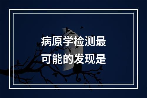 病原学检测最可能的发现是