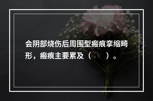 会阴部烧伤后周围型瘢痕挛缩畸形，瘢痕主要累及（　　）。