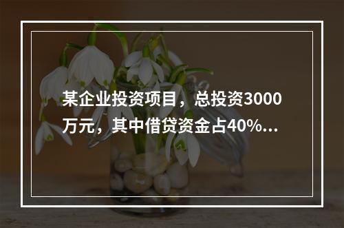 某企业投资项目，总投资3000万元，其中借贷资金占40%，借