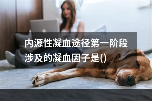 内源性凝血途径第一阶段涉及的凝血因子是()