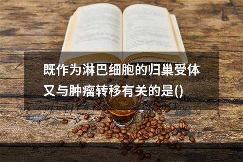 既作为淋巴细胞的归巢受体又与肿瘤转移有关的是()