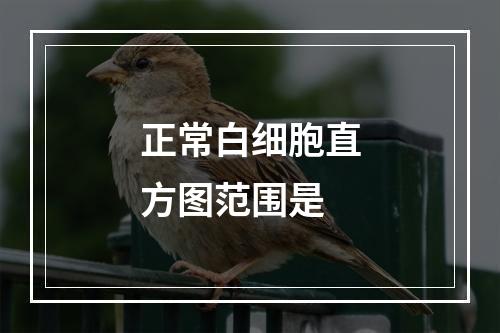 正常白细胞直方图范围是