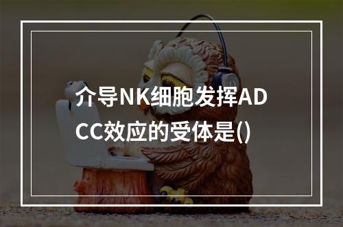 介导NK细胞发挥ADCC效应的受体是()