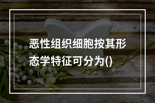 恶性组织细胞按其形态学特征可分为()