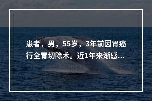 患者，男，55岁，3年前因胃癌行全胃切除术。近1年来渐感头晕