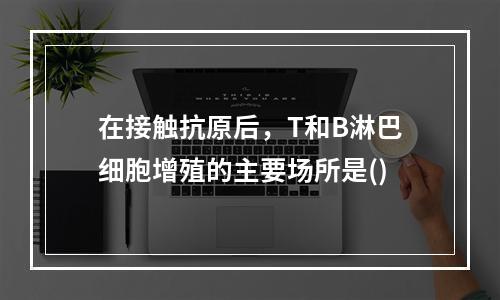 在接触抗原后，T和B淋巴细胞增殖的主要场所是()