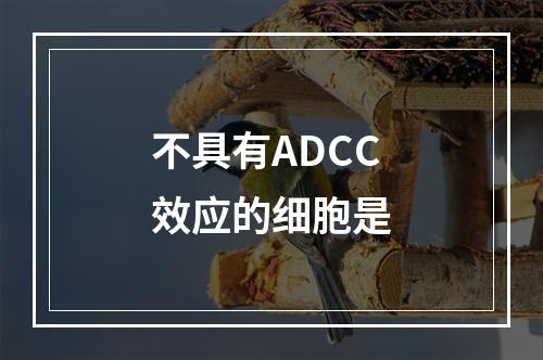 不具有ADCC效应的细胞是