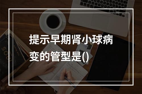 提示早期肾小球病变的管型是()