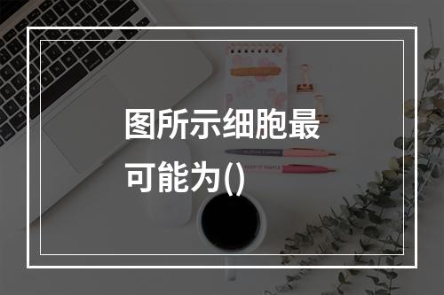 图所示细胞最可能为()