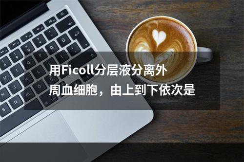 用Ficoll分层液分离外周血细胞，由上到下依次是