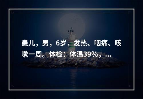 患儿，男，6岁，发热、咽痛、咳嗽一周。体检：体温39％，咽部