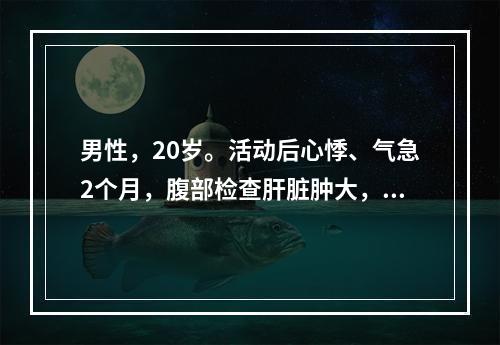 男性，20岁。活动后心悸、气急2个月，腹部检查肝脏肿大，质地