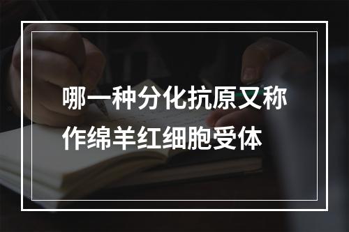 哪一种分化抗原又称作绵羊红细胞受体