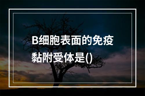 B细胞表面的免疫黏附受体是()