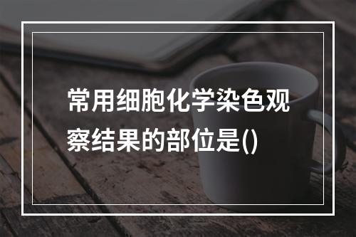 常用细胞化学染色观察结果的部位是()