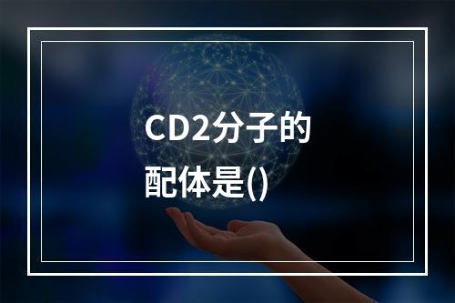 CD2分子的配体是()