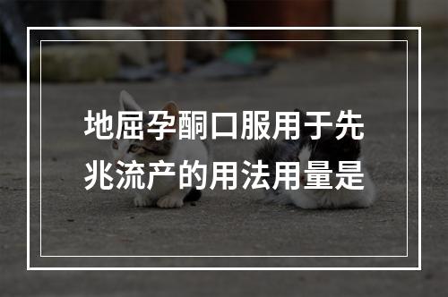 地屈孕酮口服用于先兆流产的用法用量是