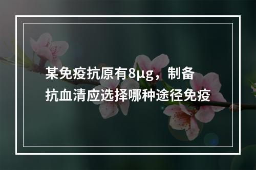 某免疫抗原有8μg，制备抗血清应选择哪种途径免疫