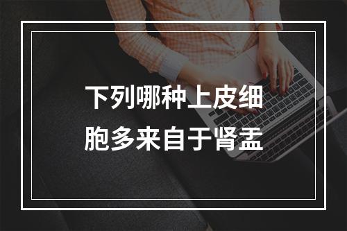 下列哪种上皮细胞多来自于肾盂