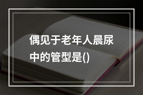 偶见于老年人晨尿中的管型是()