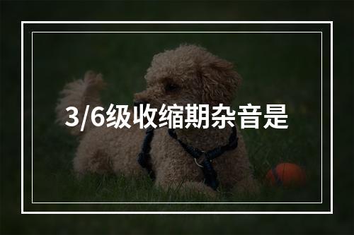 3/6级收缩期杂音是