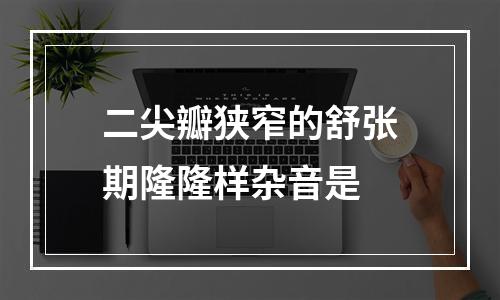 二尖瓣狭窄的舒张期隆隆样杂音是