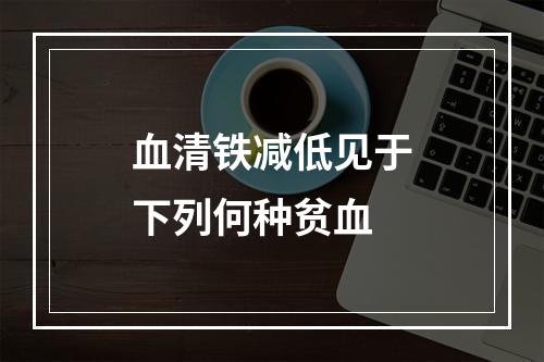 血清铁减低见于下列何种贫血