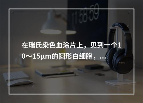 在瑞氏染色血涂片上，见到一个10～15μm的圆形白细胞，3叶