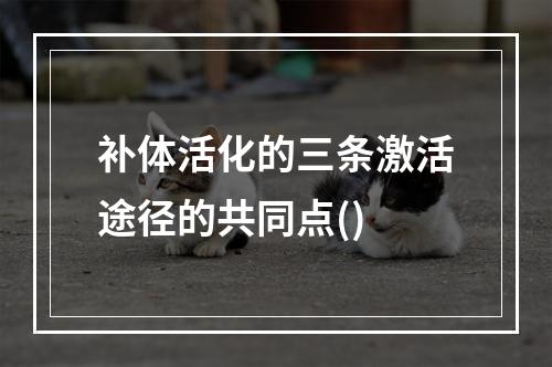 补体活化的三条激活途径的共同点()