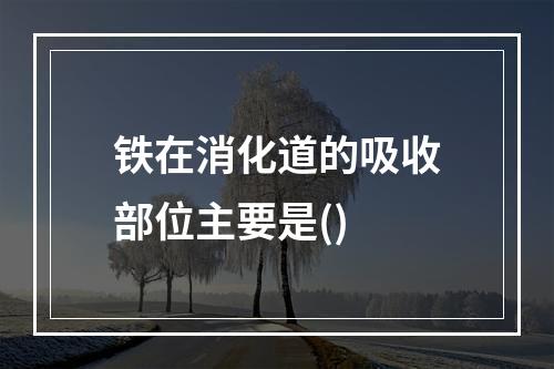 铁在消化道的吸收部位主要是()