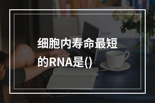 细胞内寿命最短的RNA是()