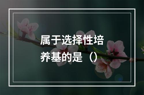 属于选择性培养基的是（）