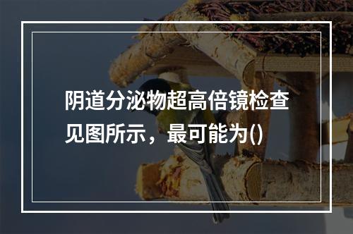 阴道分泌物超高倍镜检查见图所示，最可能为()