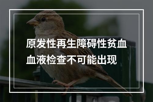 原发性再生障碍性贫血血液检查不可能出现