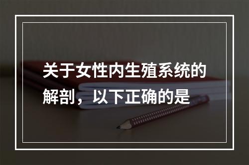 关于女性内生殖系统的解剖，以下正确的是