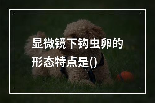 显微镜下钩虫卵的形态特点是()