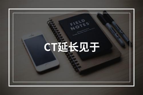 CT延长见于