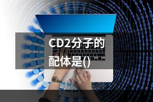 CD2分子的配体是()