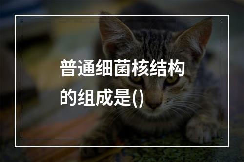 普通细菌核结构的组成是()