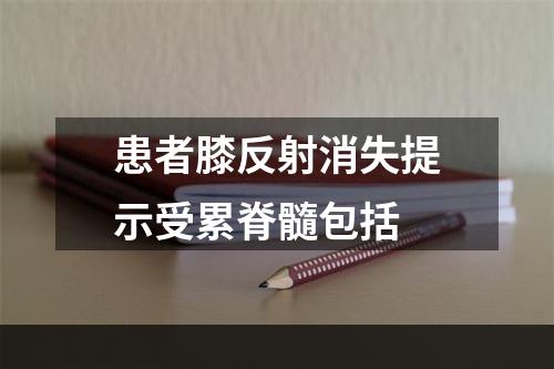 患者膝反射消失提示受累脊髓包括