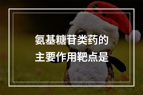 氨基糖苷类药的主要作用靶点是