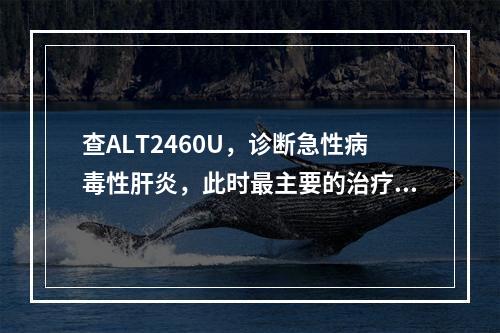 查ALT2460U，诊断急性病毒性肝炎，此时最主要的治疗措施