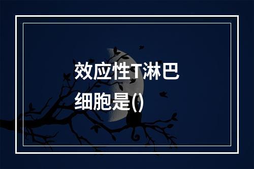 效应性T淋巴细胞是()