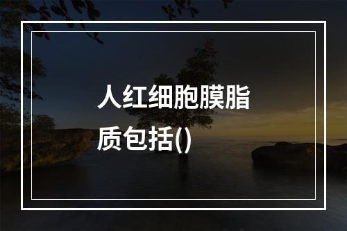 人红细胞膜脂质包括()