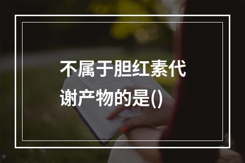 不属于胆红素代谢产物的是()