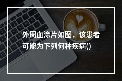 外周血涂片如图，该患者可能为下列何种疾病()